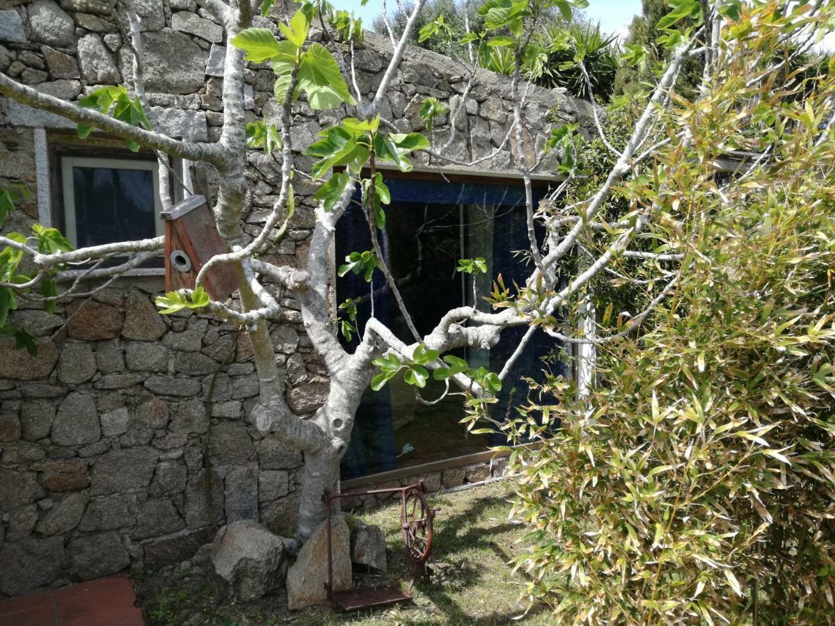 ホテルAgriturismo La Valletta サンタ・テレーザ・ガッルーラ エクステリア 写真
